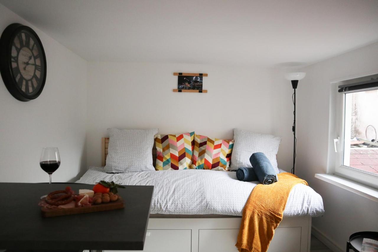 Le Domaine Mulhousien Apartment Мюлуз Екстериор снимка